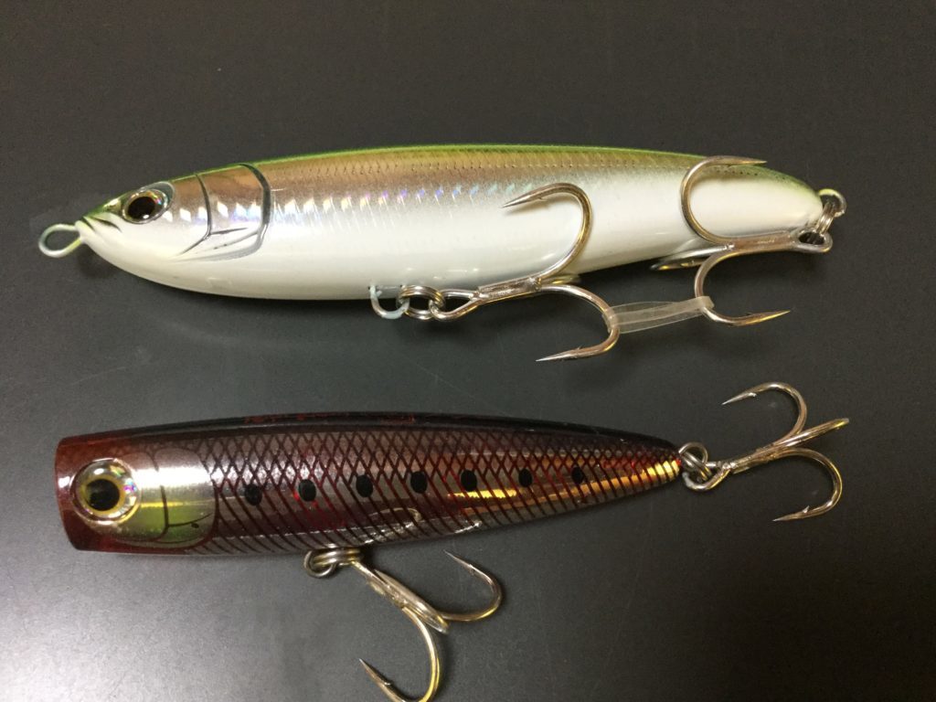 【釣り】ダイビングペンシル・ポッパーで青物ヒラマサを狙う