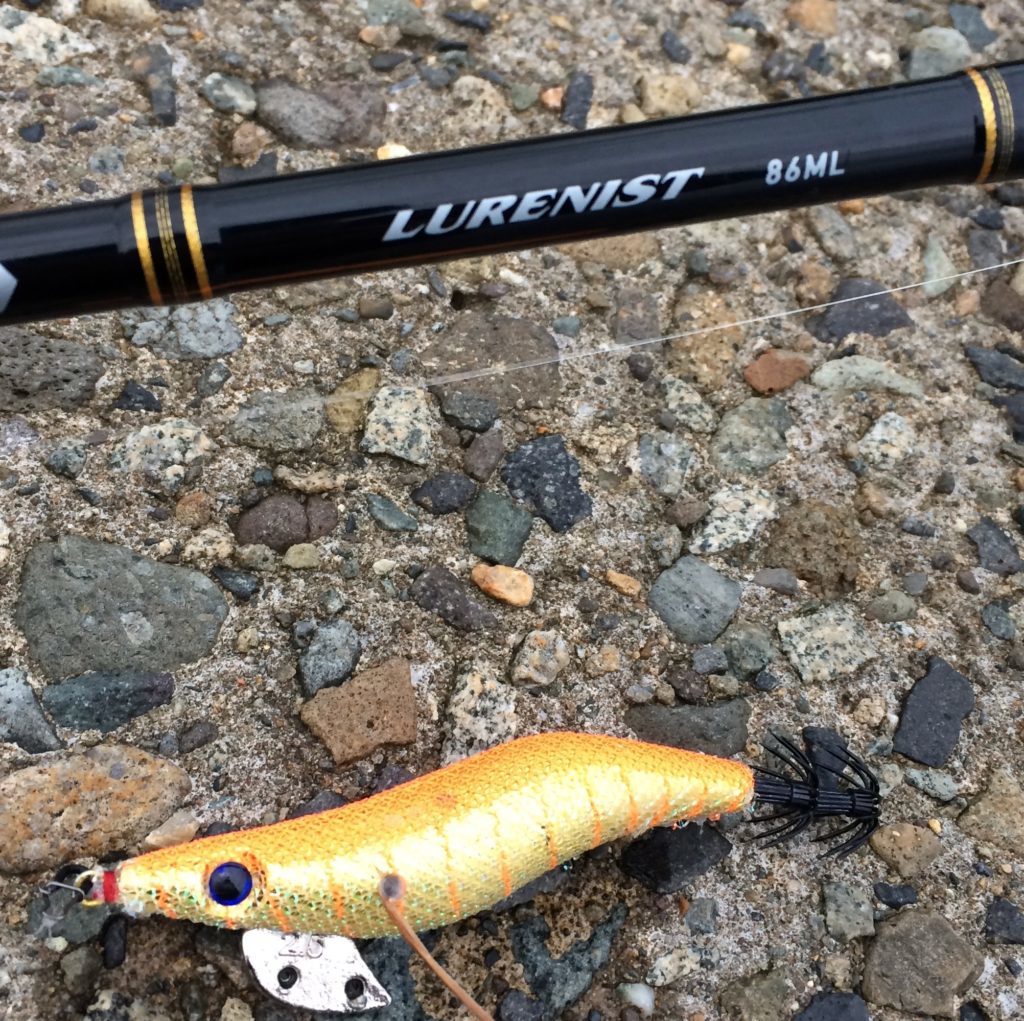 【ルアーニスト】安いエギングロッドで太刀魚を釣りまくる(ジグ、ワーム)