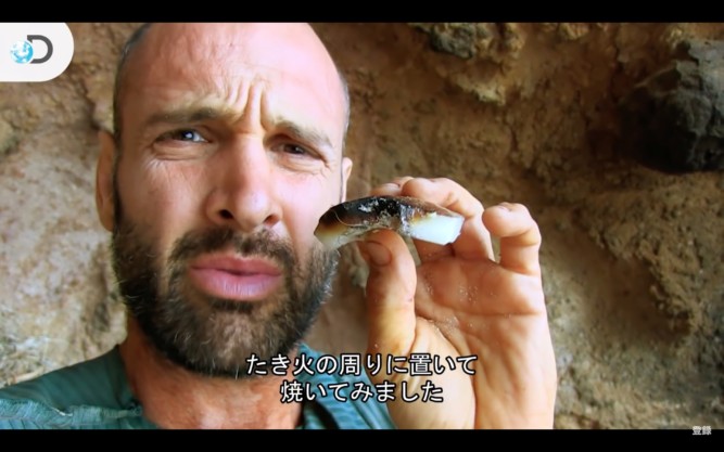ディスカバる無人島生活