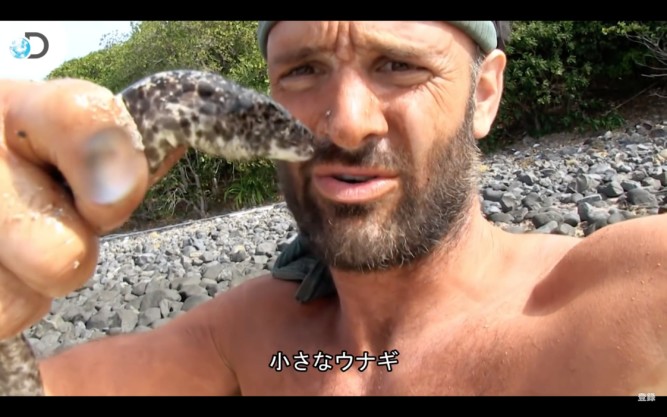 ディスカバる無人島